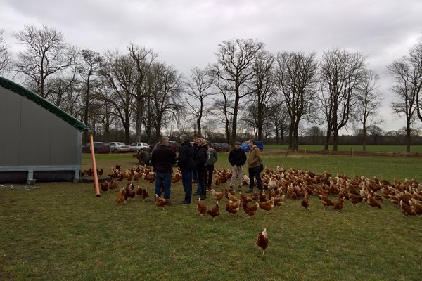 Eine kleine Gruppe von Menschen steht an einem Hühnerstall umgeben von vielen braunen Legehennen.