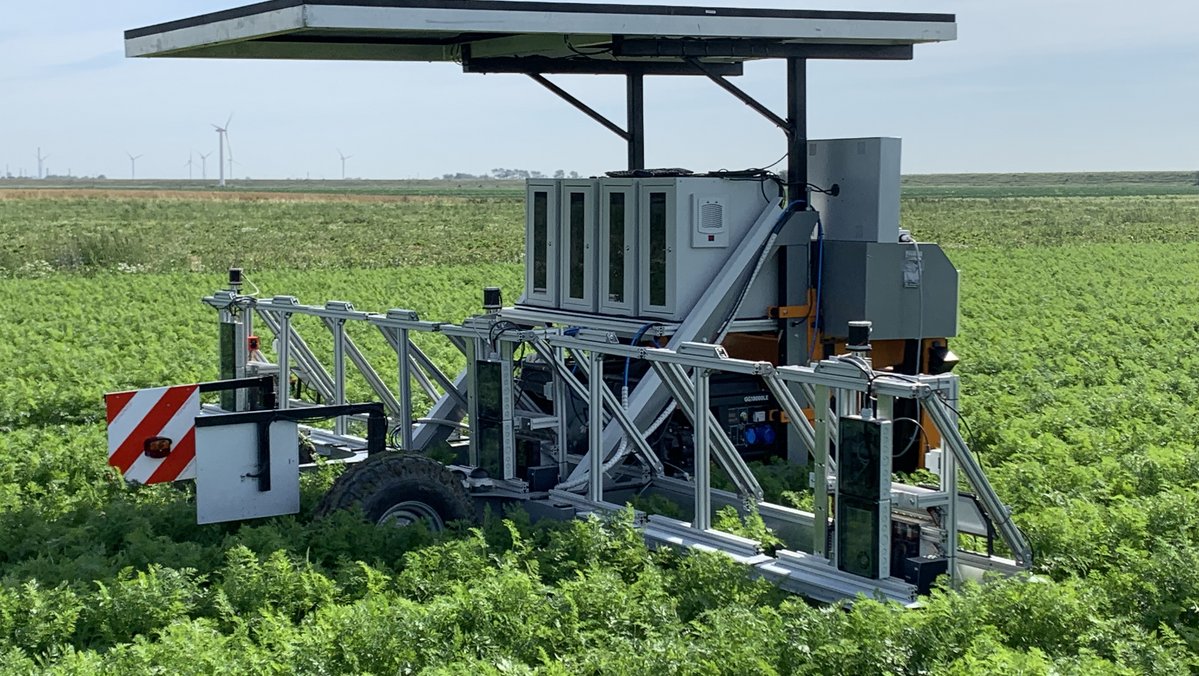 Ein autonomer Hack-Roboter mit Solarmodul steht zwischen den Möhrenanbaustreifen im Feld.