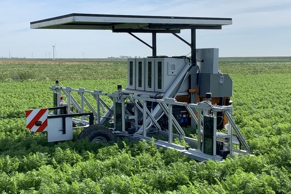 Ein autonomer Hack-Roboter mit Solarmodul steht zwischen den Möhrenanbaustreifen im Feld.