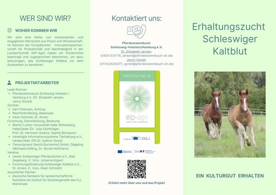 Projektflyer Seite 1