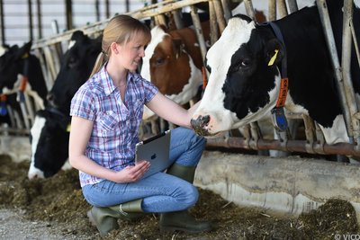Eine Frau mit einem Tablet in der Hand kniet vor einer Kuh.