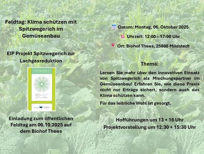 Im Hintergrund sind Pflanzen zu sehen davor ist Text der zu einem Feldtag am 6 Oktober 2025 einlädt