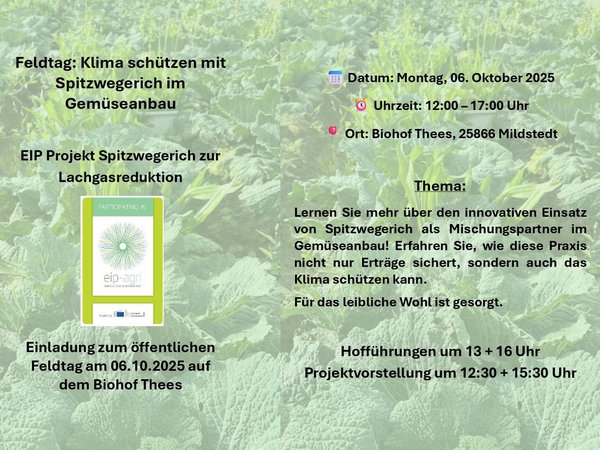 Im Hintergrund sind Pflanzen zu sehen davor ist Text der zu einem Feldtag am 6 Oktober 2025 einlädt