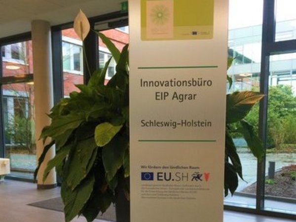 Symbolbild: Metallschild mit Logo und Anschrift des Innovationsbüros