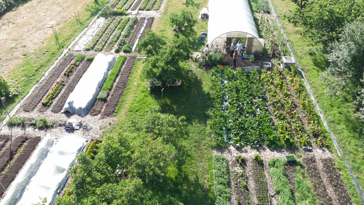 Eine Luftaufnahme von einem Gemüsegarten mit Gewächshaus. 