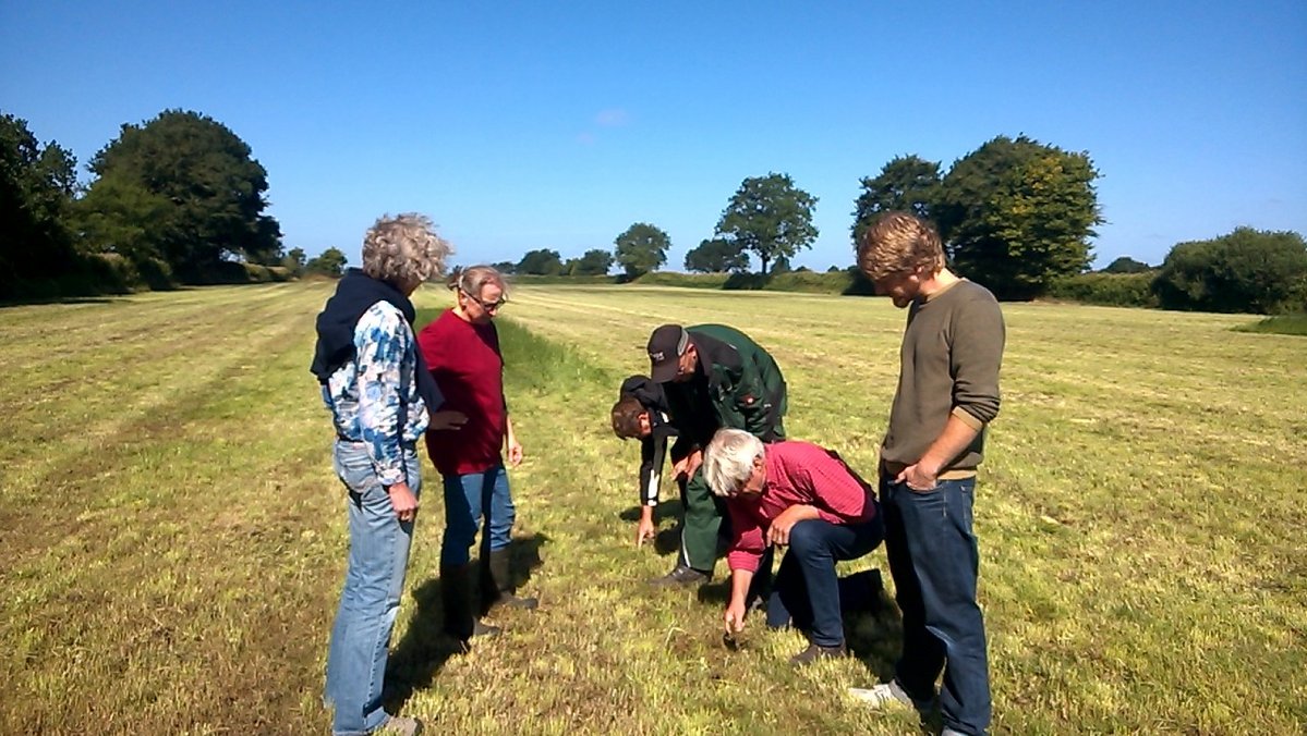 Eine Gruppe von Menschen steht und kniet auf einem Feld, um die Pflanzen dort zu untersuchen.
