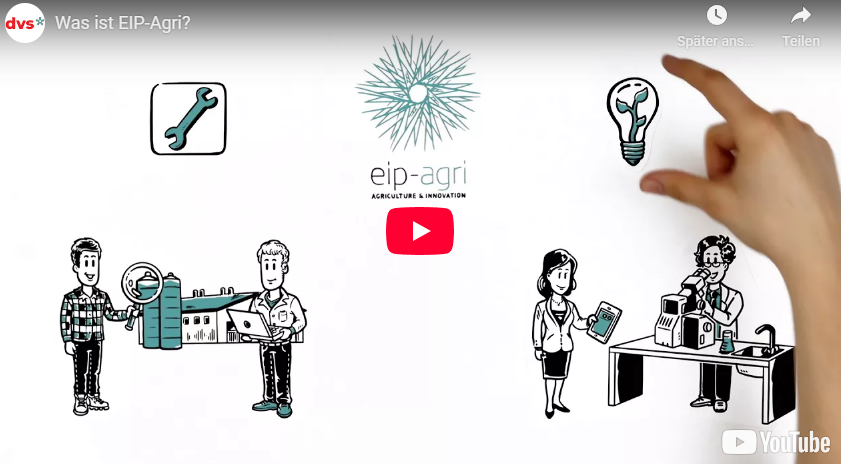 Screenshot des YouTube-Videos 'Was ist EIP-Agri?' mit dem Logo von EIP-Agri, Werkzeug- und Glühbirnensymbol, sowie gezeichneten Personen in landwirtschaftlichem Kontext